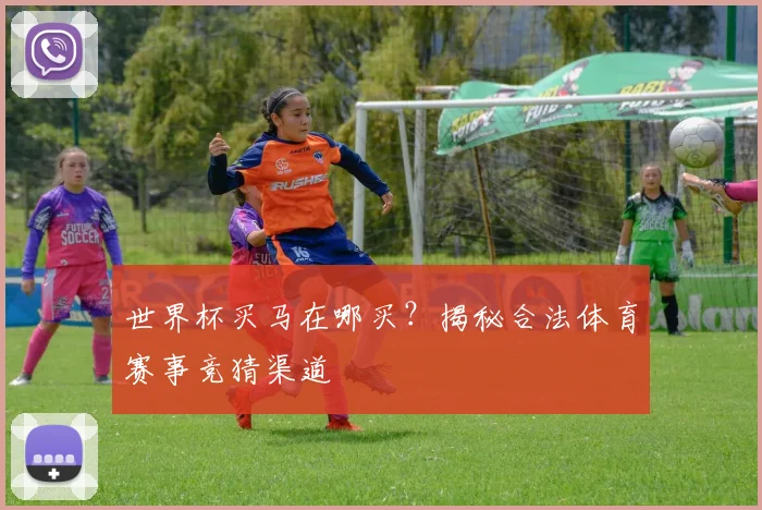 世界杯买马在哪买？揭秘合法体育赛事竞猜渠道