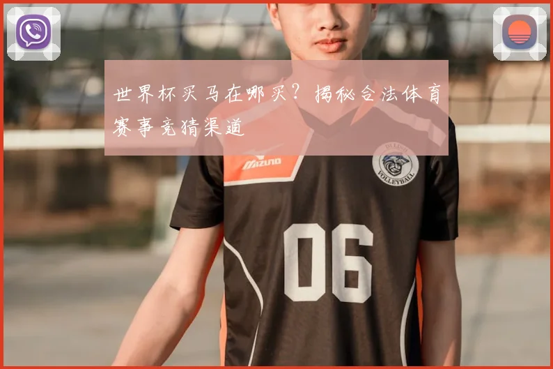世界杯买马在哪买？揭秘合法体育赛事竞猜渠道