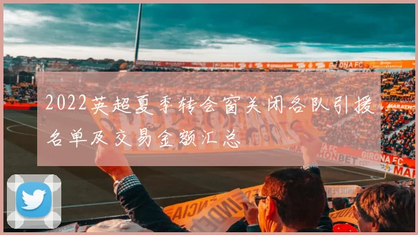 2022英超夏季转会窗关闭各队引援名单及交易金额汇总