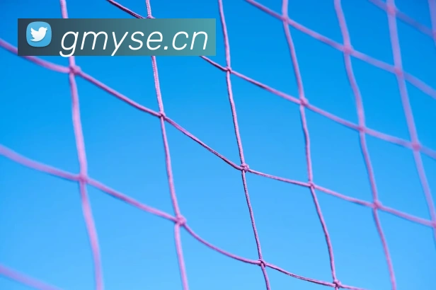 星空体育app平台官网平台生态图